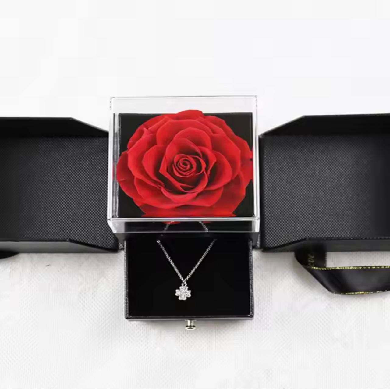 Elegance Encased