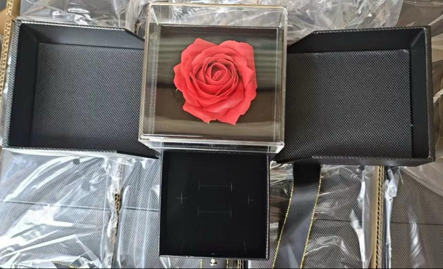 Elegance Encased